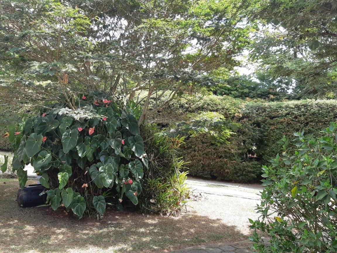 Finca Paraiso Калима Экстерьер фото