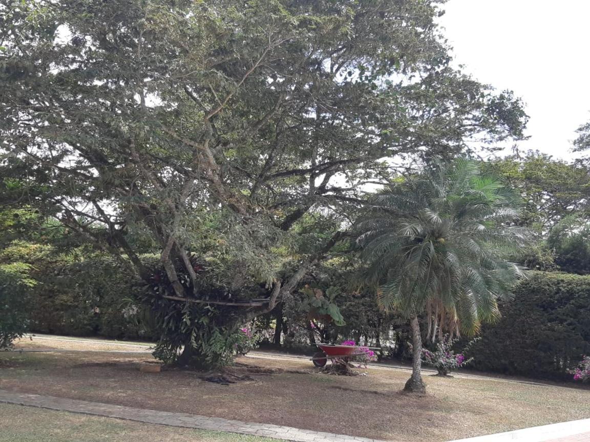 Finca Paraiso Калима Экстерьер фото